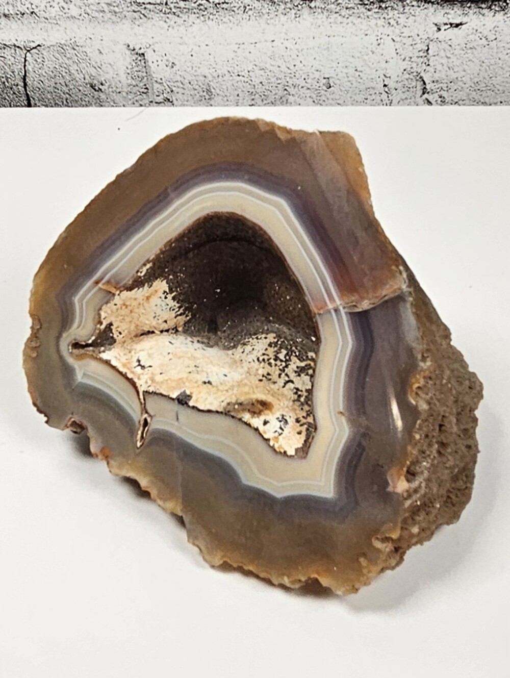 Natural Banded Agate Geode Druzy Crystal Specimen Display 5 Inch
